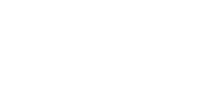 ION Solar